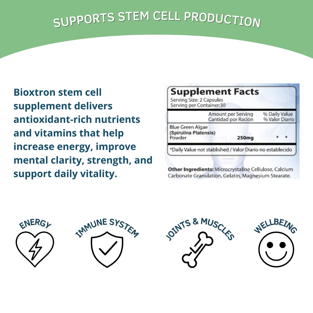 Bioxtron Natural Stem Cell Supplement Capsules - Blue Green Algae and Spirulina - Supports Energy, Joint, Muscle, Immune Health - Stem Cell Regenerator - 60 Capsules (30 Servings)