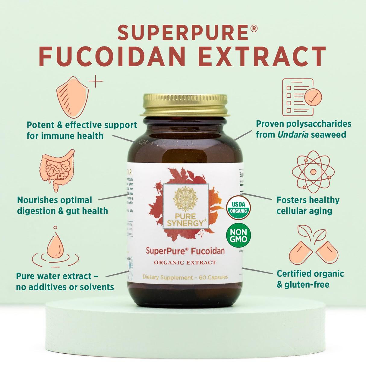 PURE SYNERGY SuperPure Fucoidan Extract | Gluten-Free Fucoidan from Organic Brown Seaweed | for Immune Health, Digestion, and Healthy Aging (60 Capsules)