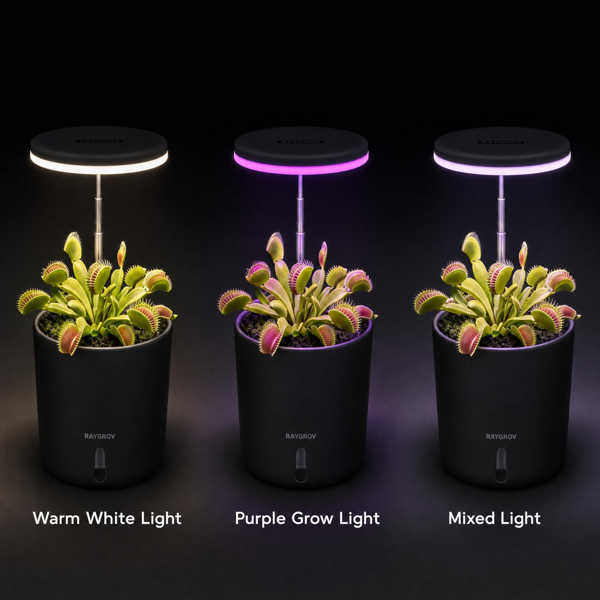 Raygrov Self-Watering Planter with Grow Light, Smart Indoor Pot for Venus Fly Trap, Carnivorous Plants, African Violet, Cat Grass, Catnip & Herbs, 2-in-1 Wall + Desktop, USB 5W Full Spectrum LED