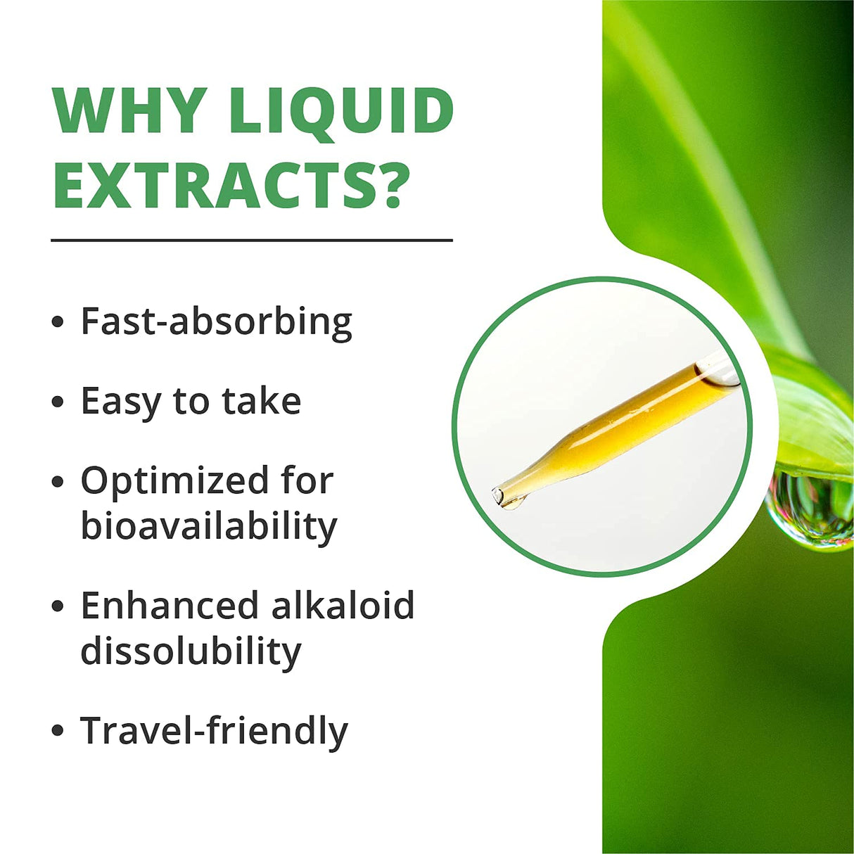 NutraMedix Samento Cat's Claw Liquid Vitamins - Daily Brain Supplement & Immunity Drops for Antioxidant, Microbial & Immune System Support - Bioavailable, Peruvian Cat's Claw Extract (2oz / 60ml)