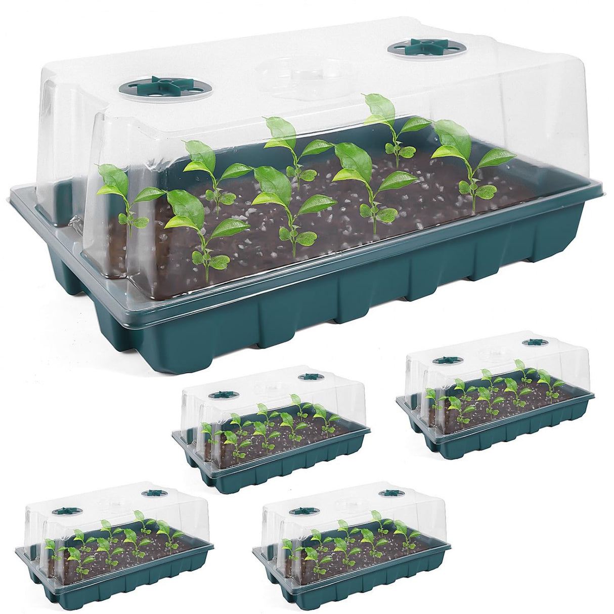 YoleShy 5 Packs Seed Starter Tray with Dome Reusable Plastic Plant Growing Trays with Humidity Domes Lids Thickened Sturdy for Seed Starting Germination Growing Seedling Propagation,14.5"x9"