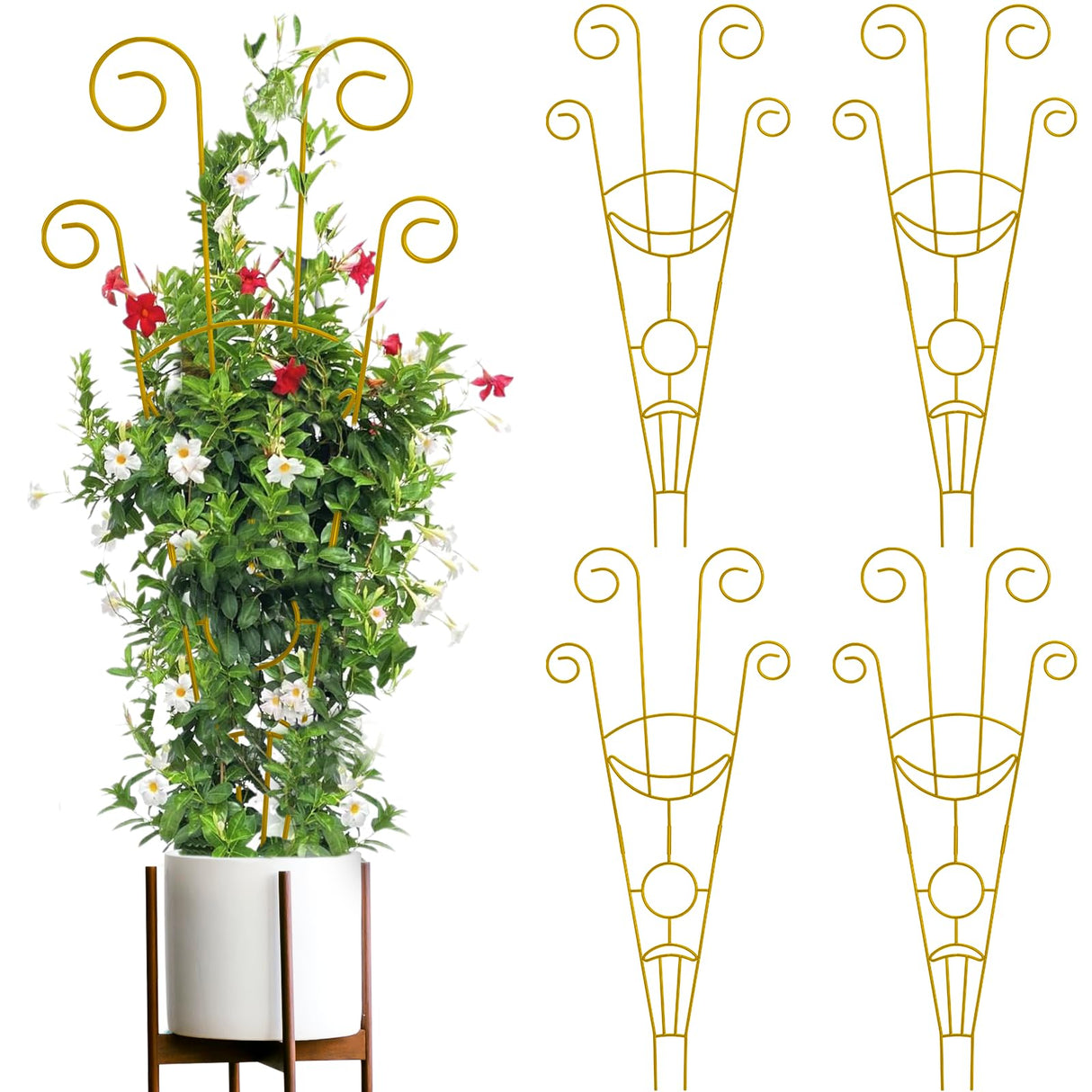 ZOUTOG Trellis for Climbing Plants Indoor 4 Pack 30 Inch,Rustproof Metal Garden Trellis for Potted Plants,Sturdy Houseplant Support Indoor Outdoor for Ivy Pothos Monstera Hoya Flower Vine(Golden Moon)