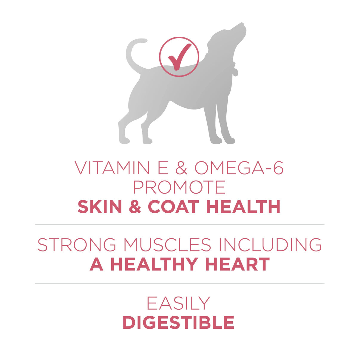 Purina ONE Plus Skin & Coat, Sensitive Stomach Dry Dog Food, 31.1 lb Bag