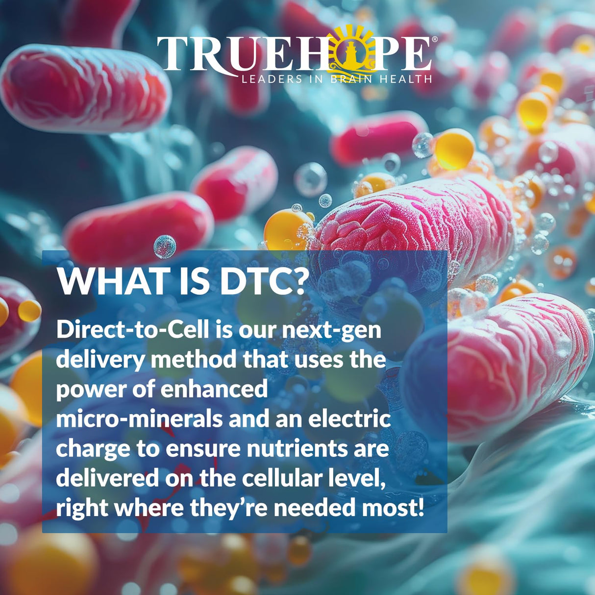 Truehope EMPowerplus Ultimate Capsules - Once-a-Day Brain, Energy and Focus Supplement - Ultra-High Concentration and World-Class Absorption - 30 Capsules