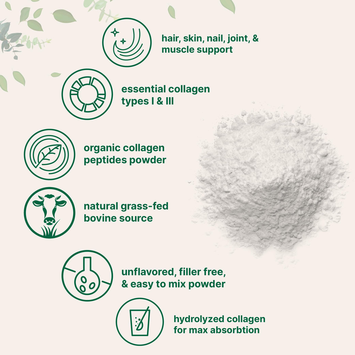 Micro Ingredients Collagen Peptides Powder Organic, 12oz | Type I & III + Natural Protein | Grass-Fed Bovine Source | Unflavored | Supports Skin, Joint & Bone Health | Paleo, Non-GMO