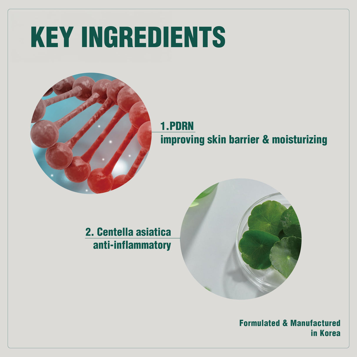 VQM - Phytocin Cream, Moisturizer Face Cream, Korean Moisturizer for Acne Prone Skin, Barrier Cream & Wrinkle Cream with PDRN, & Centella Asiatica, Salmon Cream, 30 mL