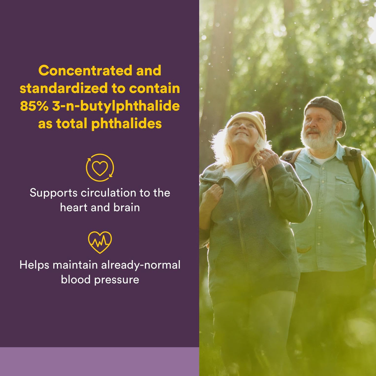 Natural Factors, Celery Seed, Concentrated Celery Extract for Healthy Circulation & Heart Support