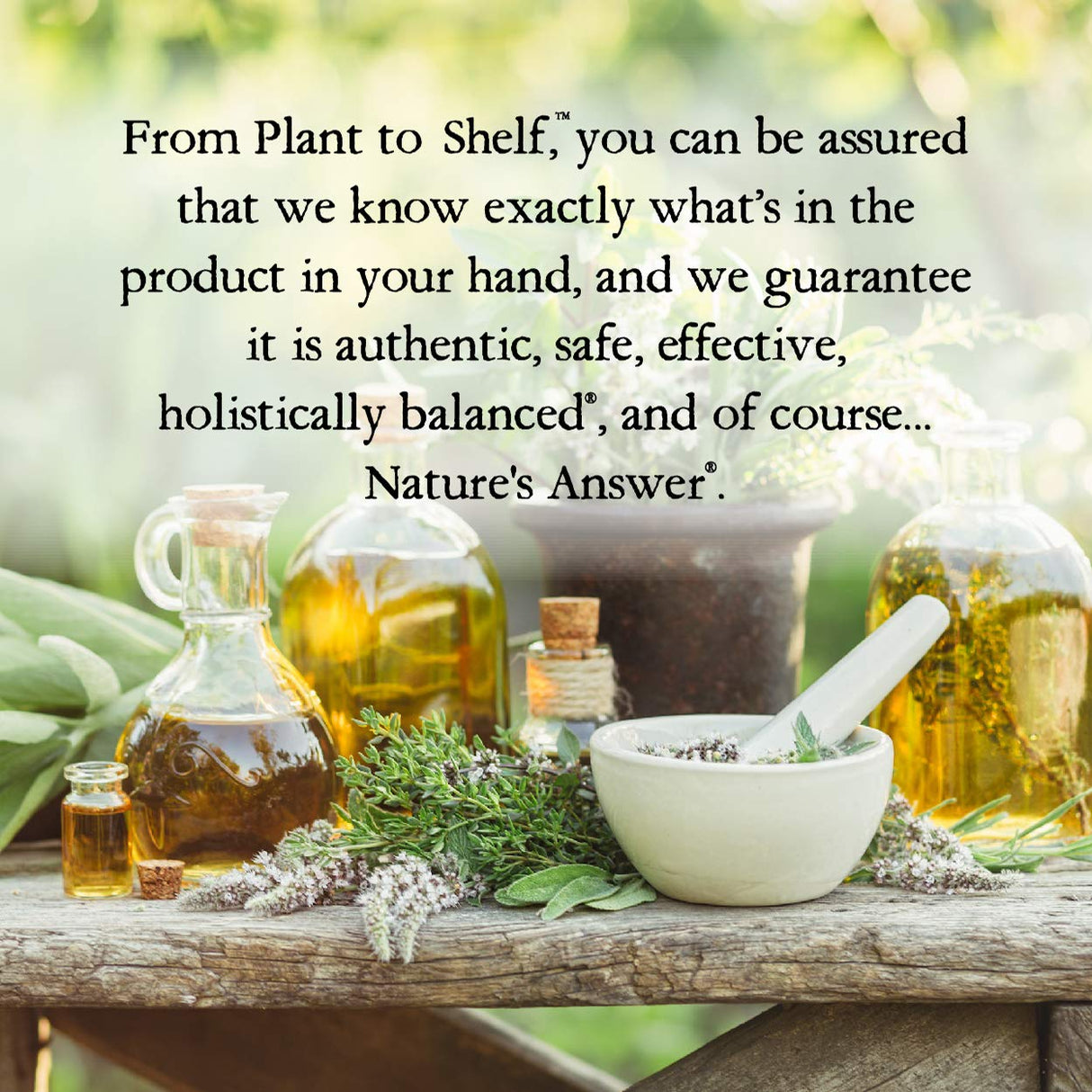 Nature's Answer Cat's Claw Bark Liquid Extract Supplement 2 Ounce - Alcohol Free Cats Claw Tincture & Capsules Alternative for Joint & Muscle Support, Vegan, Non-GMO, Gluten Free, Kosher