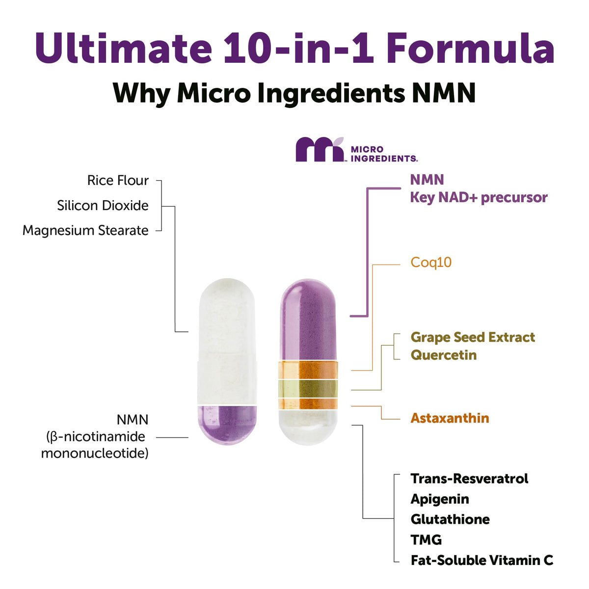 Micro Ingredients NMN Complex 1000mg Per Serving, 120 Veggie Capsules