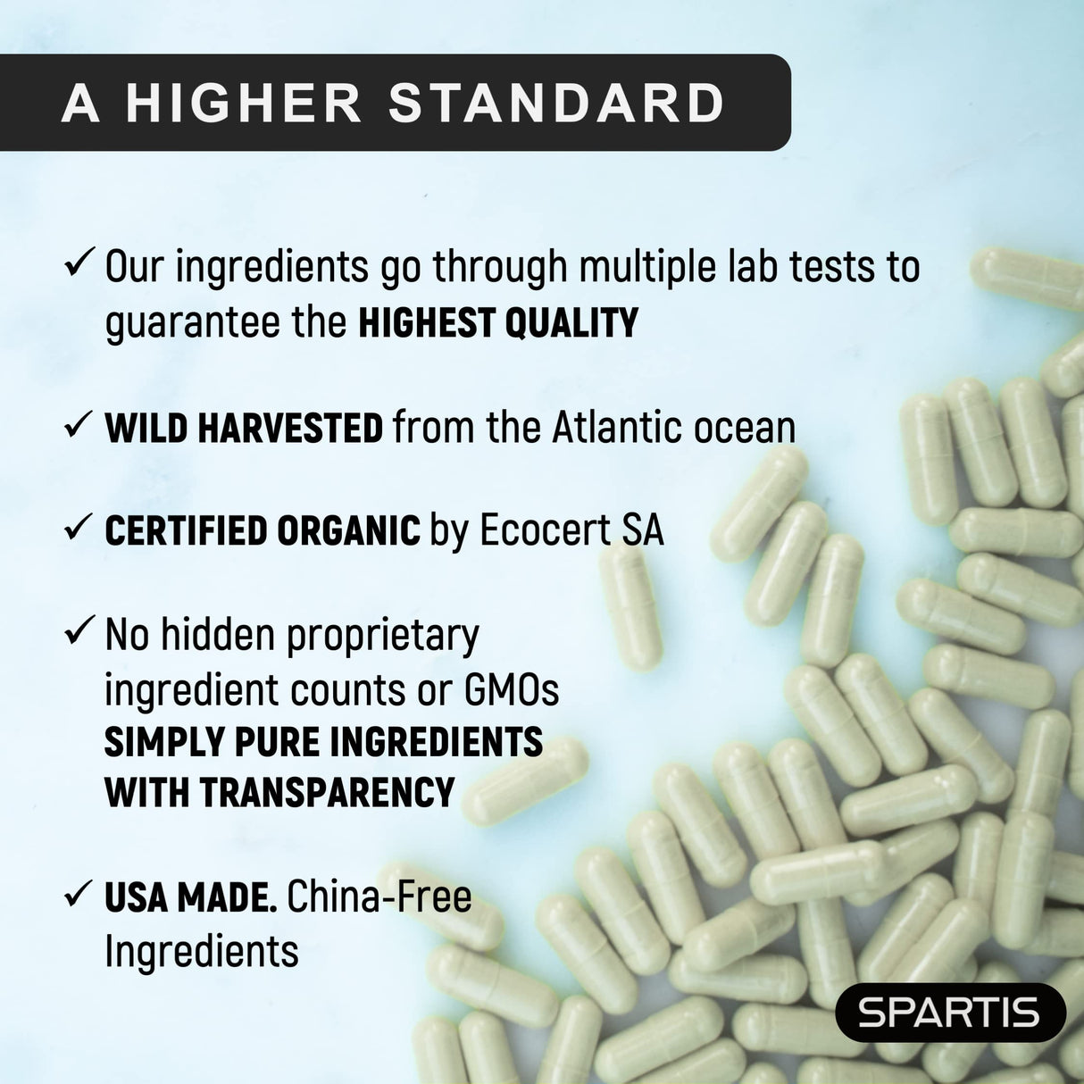 SPARTIS Certified Organic Sea Moss Capsules 2250mg Wildcrafted Irish Sea Moss Burdock Root Bladderwrack Supplement Raw Seamoss Pills & Powder (Pack of 1 at 180-Caps)