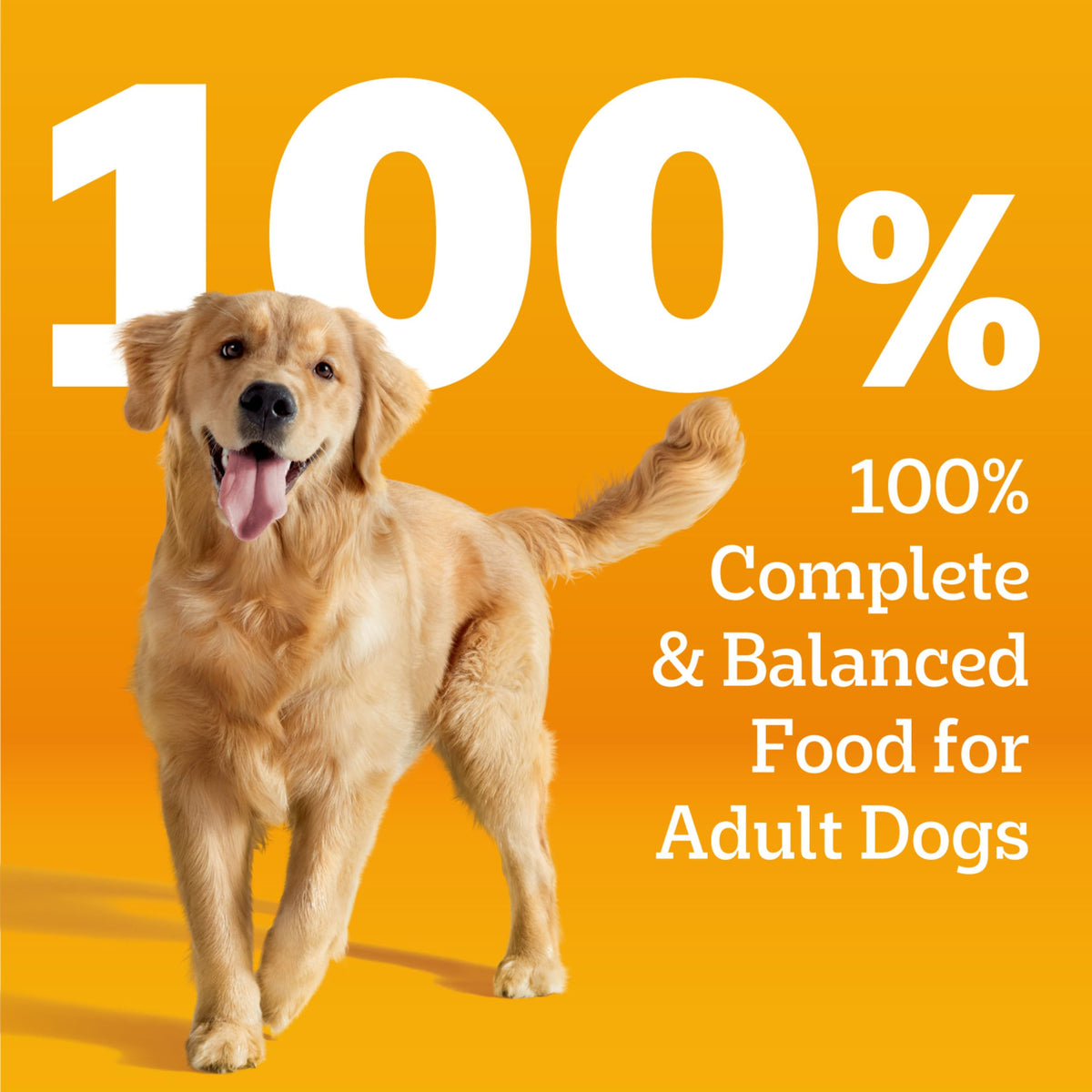 Pedigree Choice Cuts Wet Dog Food, Beef & Country Stew, 13.2 oz, 12 count