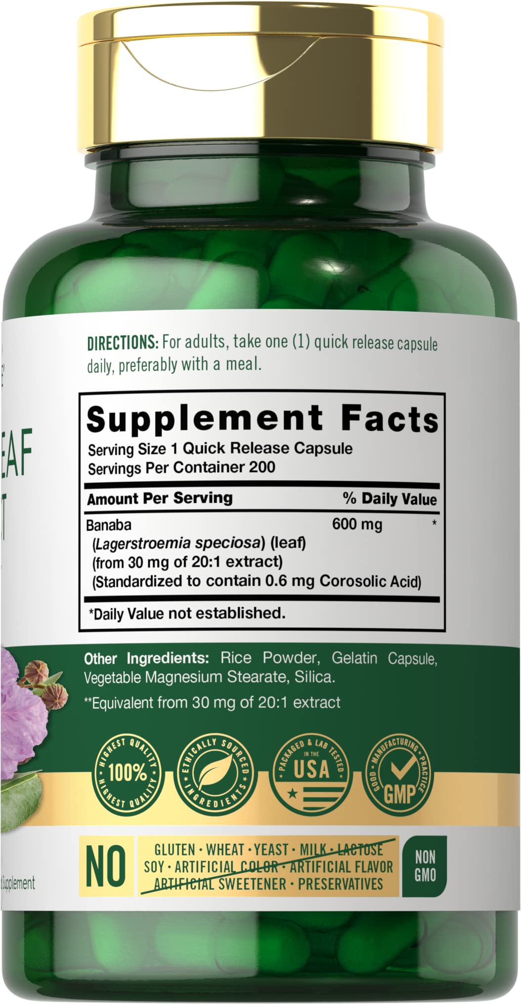 Carlyle Banaba Leaf Extract Capsules 600mg | 200 Count | Non-GMO, Gluten Free