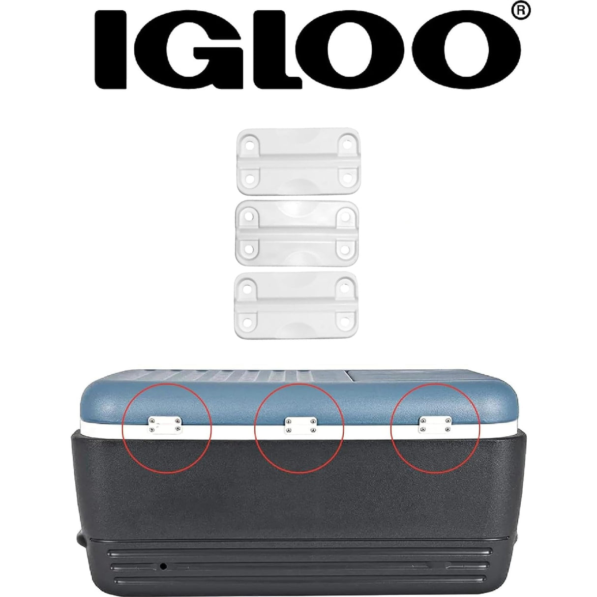 Igloo Cooler Plastic Hinges for Ice Chests (Set of 3) - Made in the USA - Standard Size - Contains UV Inhibitors