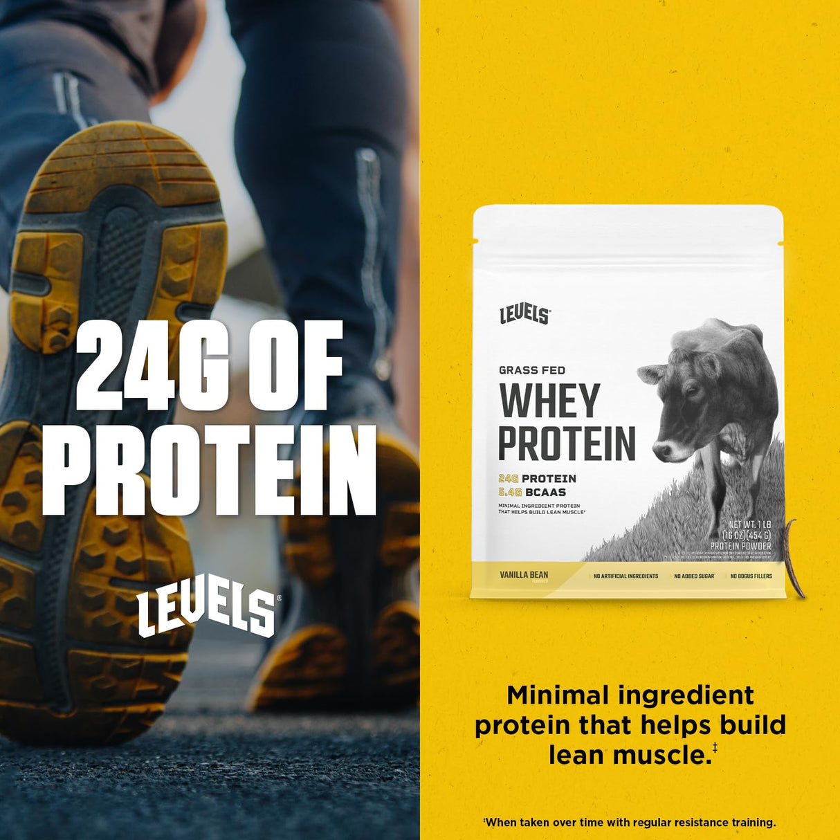 Levels Grass Fed Whey Protein Powder, No Artificials, 24G of Protein, Vanilla Bean, 1LB