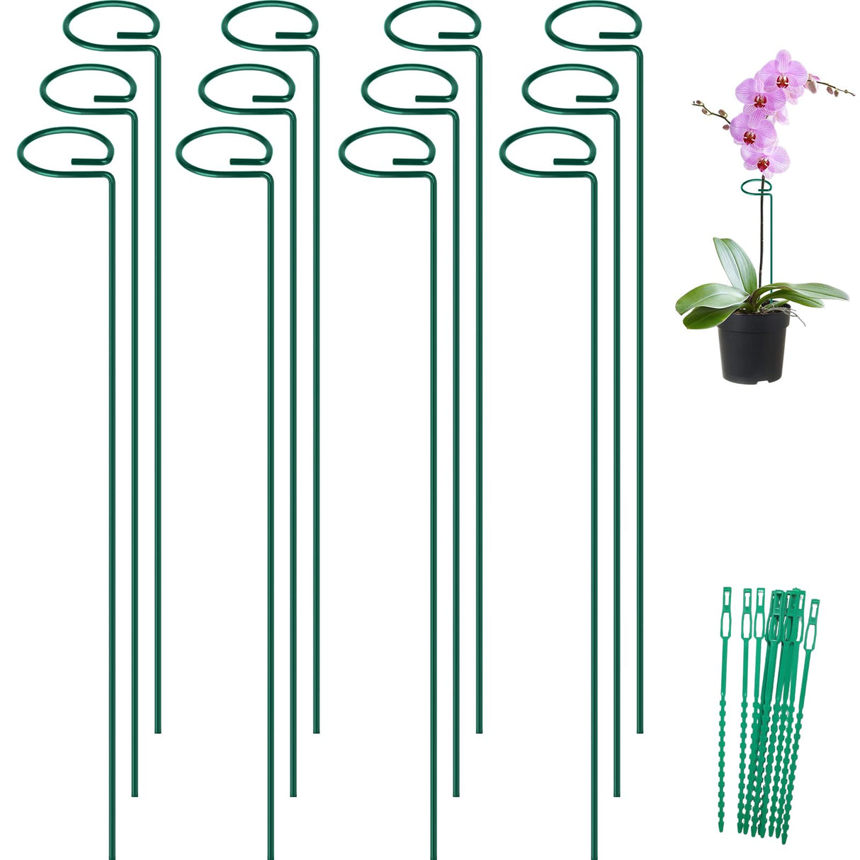 FEED GARDEN 36 Inch 12 Pack Plant Support Stakes, Metal Garden Flower Stakes and Supports for Outdoor Plants, Plant Stem Support with 24 Twist Ties for Amaryllis Lily Rose Peony Tomatoes Gladiolus