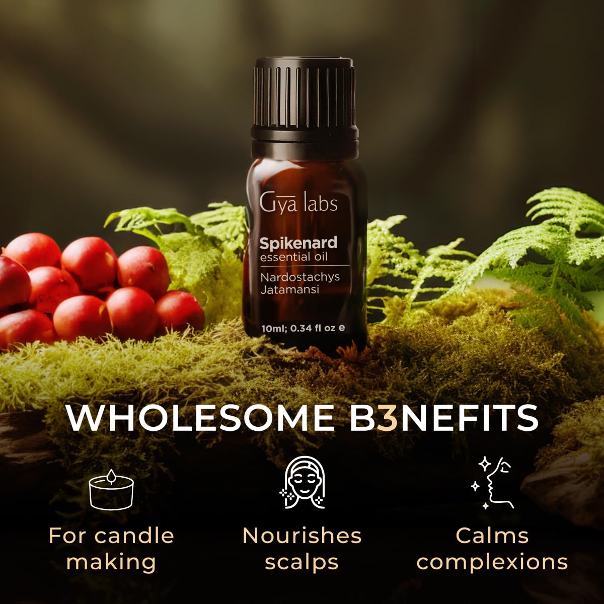 Gya Labs Spikenard Essential Oil for Diffuser - 0.34 Fl Oz - 100% Pure Natural Spikenard Oil for Skin, Hair, Aromatherapy & Candle Making - Warm Spicy Yet Sweet Scent