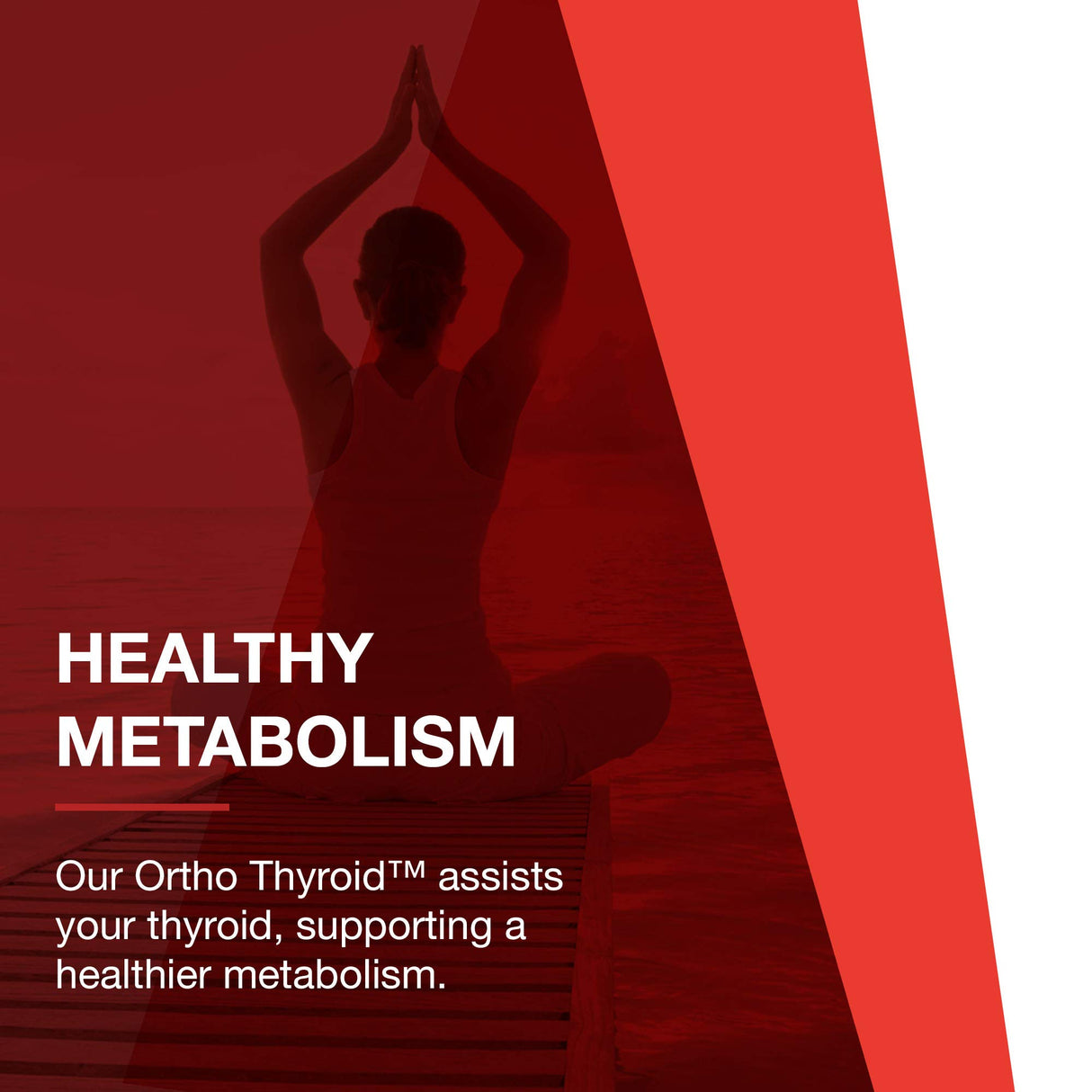 Protocol Ortho Thyroid - Supports Healthy Thyroid Function* - with Ashwagandha, Zinc & Selenium - Non-GMO & Kosher - 90 Veg Capsules