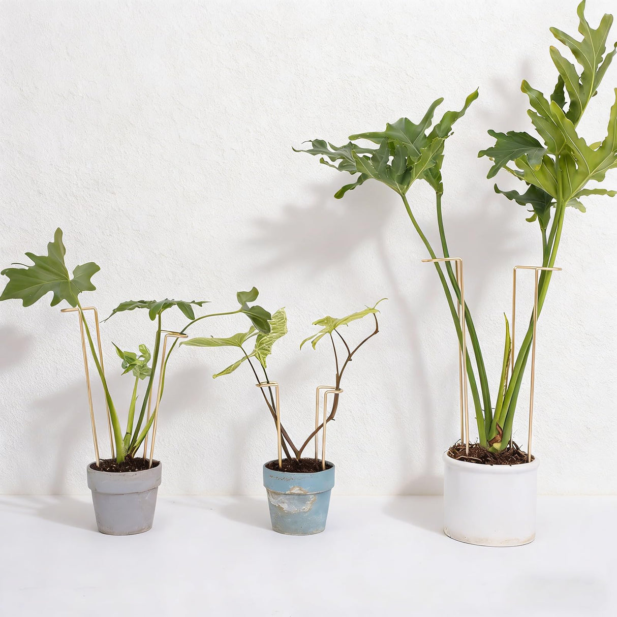 GOOOXIM 8.7 Inch Indoor Plant Trellis 10 Pack Small Gold Plant Supports