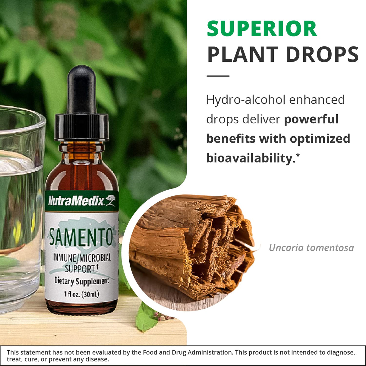 NutraMedix Samento Cat's Claw Liquid Vitamins - Daily Brain Supplement & Immunity Drops for Antioxidant, Microbial & Immune System Support - Bioavailable, Peruvian Cat's Claw Extract (2oz / 60ml)