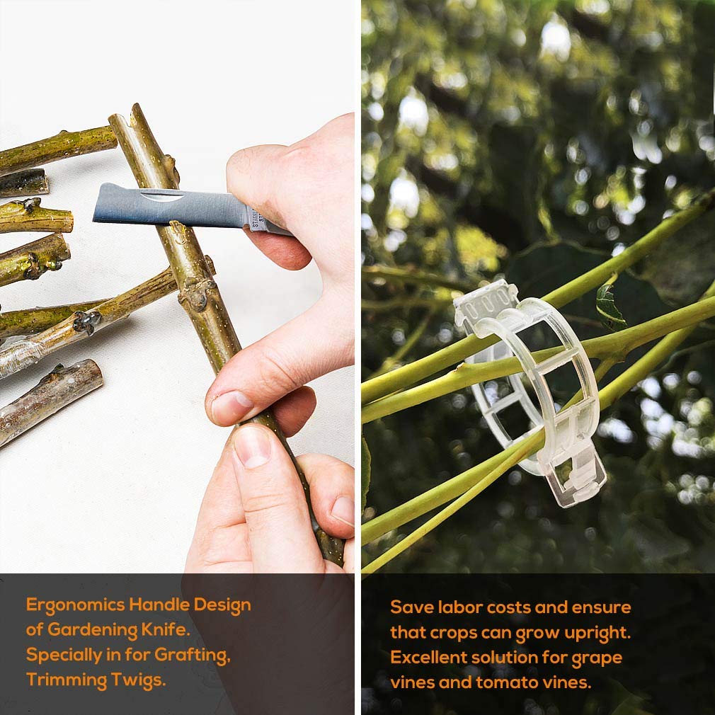 FUJIWARA Garden Grafting Tool, Multifunctional Pruning Scissors Kit, U-Graft/V-Graft/Omega-Graft Seedling for Fruit Tree Grafting Set,Including Grafting Tapes, Grafting Knife & Replacement Blades