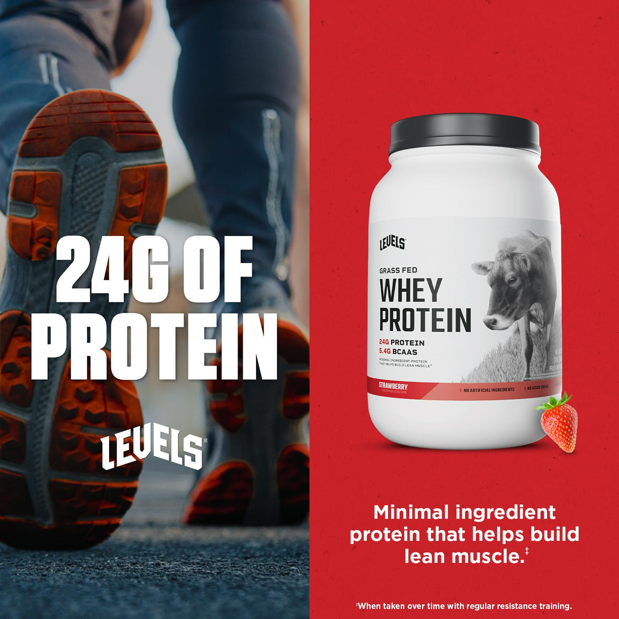 Levels Grass Fed Whey Protein Powder, No Artificials, 24G of Protein, Strawberry, 2LB