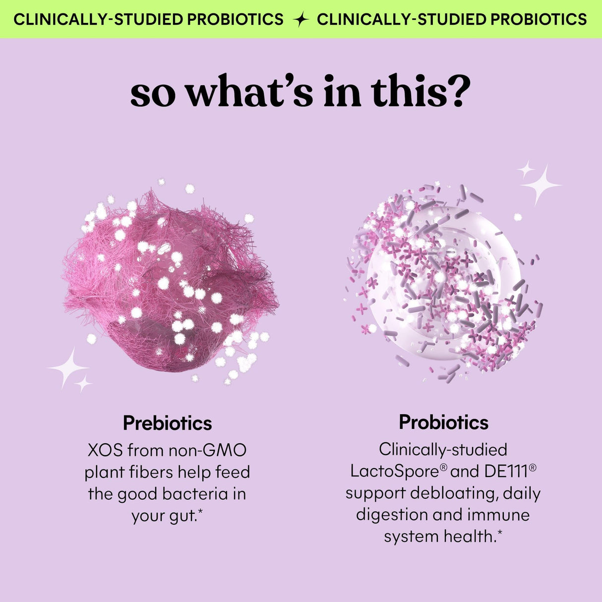 Lemme Debloat - Digestive & Gut Health Gummies with 2 Clinically Studied Probiotics & Prebiotic, Vegetarian, Gluten Free, Non GMO, BlackBerry Flavor (60 Count) (Pack of 2)