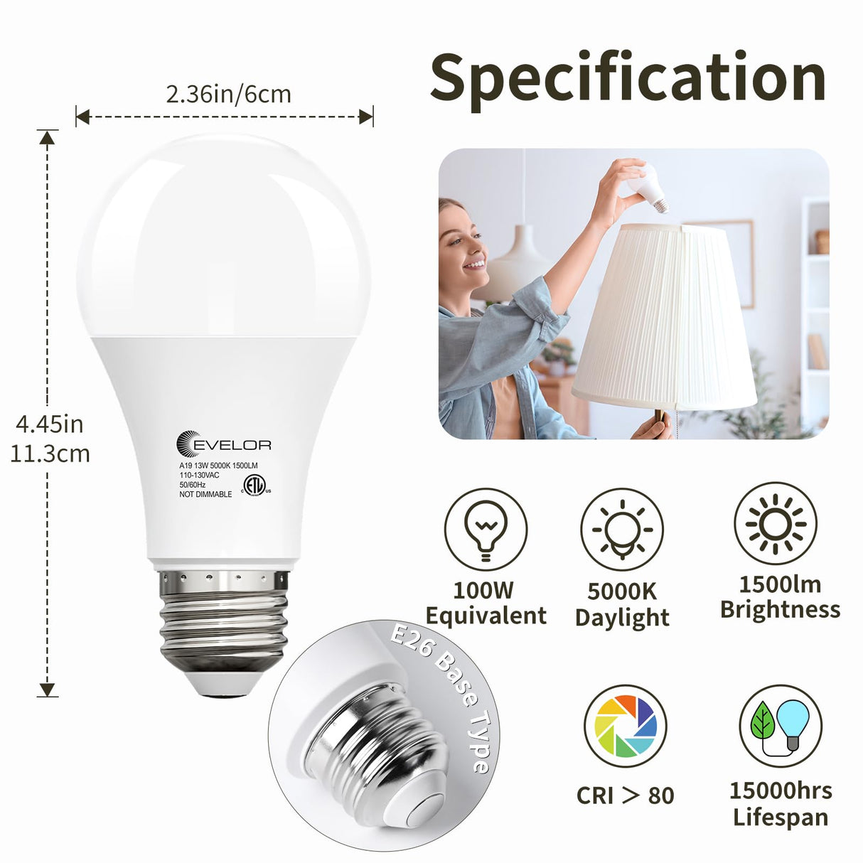 evelor 24-Packs A19 LED Light Bulbs,100 Watt Equivalent Daylight 5000K Bright Bulbs Efficient 13W,1500 Lumens E26 Base, Non-Dimmable, 15000-Hour Lifespan for Bedroom, Living Room, Office