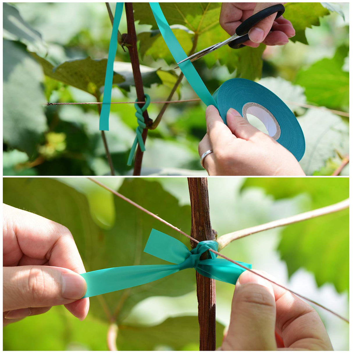 TELENT OUTDOORS 10 Pcs 150 Feet x 1/2" Wide Stretch Tie Tape Green Plant Garden Tie, Garden Vinyl Stake for Branches, Climbing Planters, Flowers