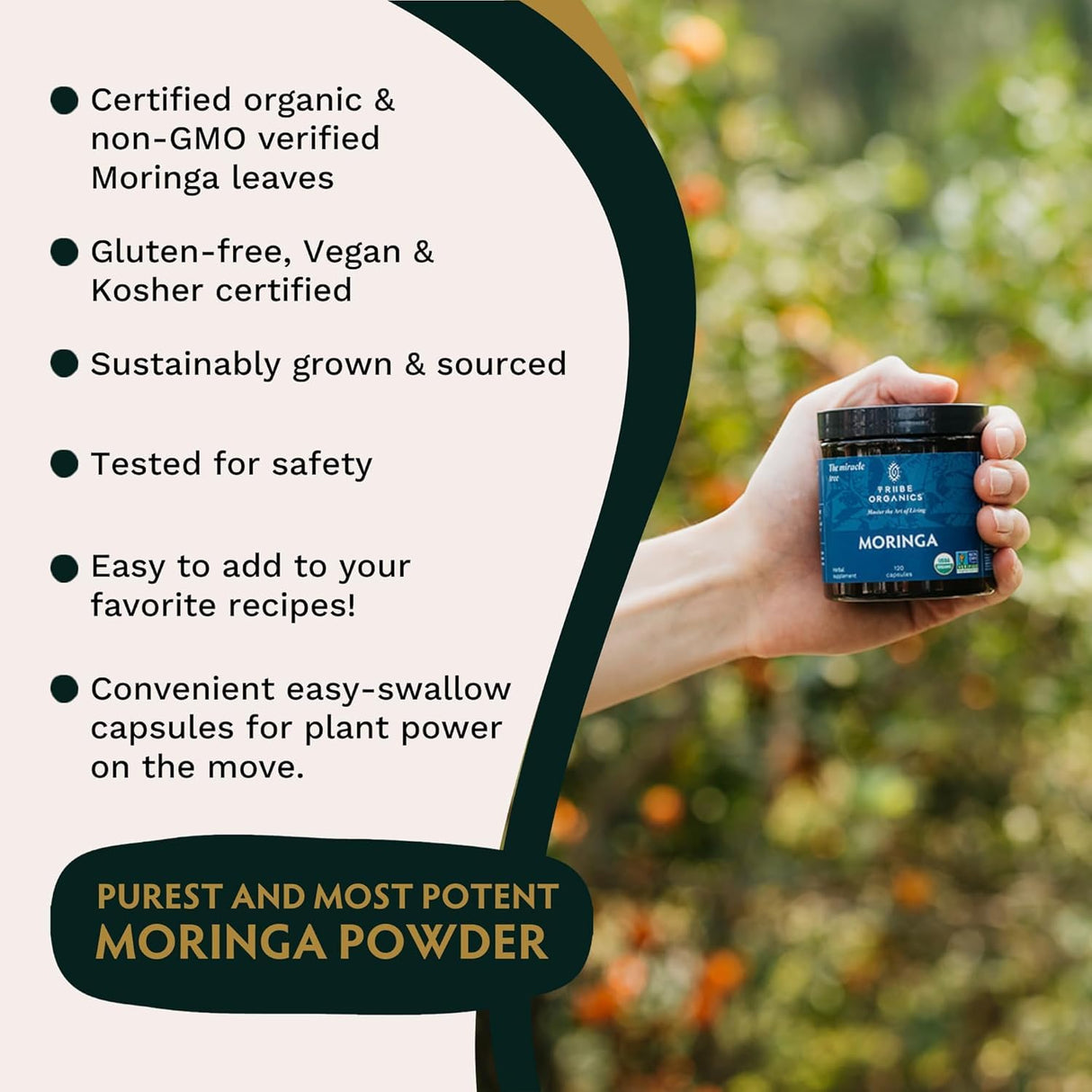 TRIBE ORGANICS 1800mg Organic Moringa Oleifera Powder for Energy | Joints | Brain Function - High Potency Nutrient Rich Greens Superfood | Natural Leaf Plant Protein | Antioxidant - 120 Vegan Capsules