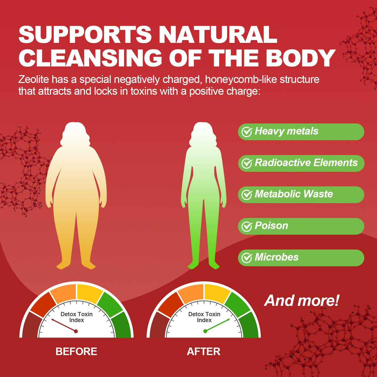 Zeolite Detox Liquid Drops 2 Pack(60ml Each), Zeolite Drops with B12, D3 & Vitamin C – Pure Body Cleanse Support for Heavy Metals, Natural Zeolite Formula, Strawberry Watermelon Flavor, 120ml