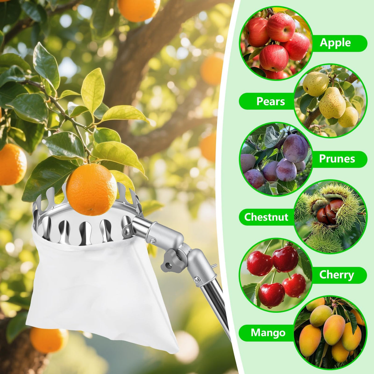 Dreamtop Fruit Picker Pole with Rotatable Basket Telescoping - 13 FT Adjustable Pole with Soft Bag, Lightweight Stainless Steel Fruit Picking Tool for Cherry, Apple, Mango, Orange, Avocado Tree Picker
