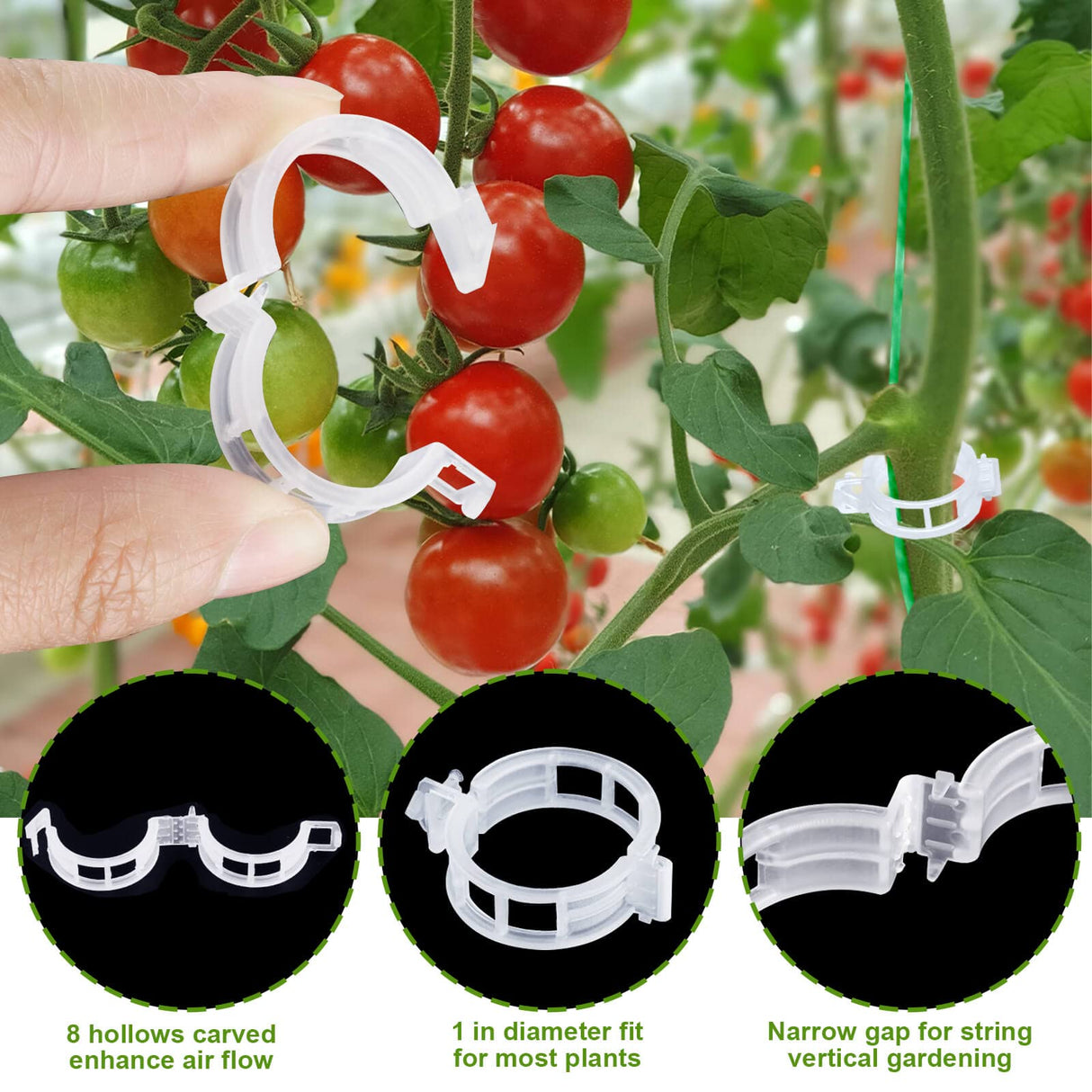 HFXXAD 70Pcs Tomato Hooks with String, Tomato Support Hooks, Tomato Holder Hooks & Plant Support Clips with 33.3ft Twine to Prevent Tomatoes from Pinching or Falling Off