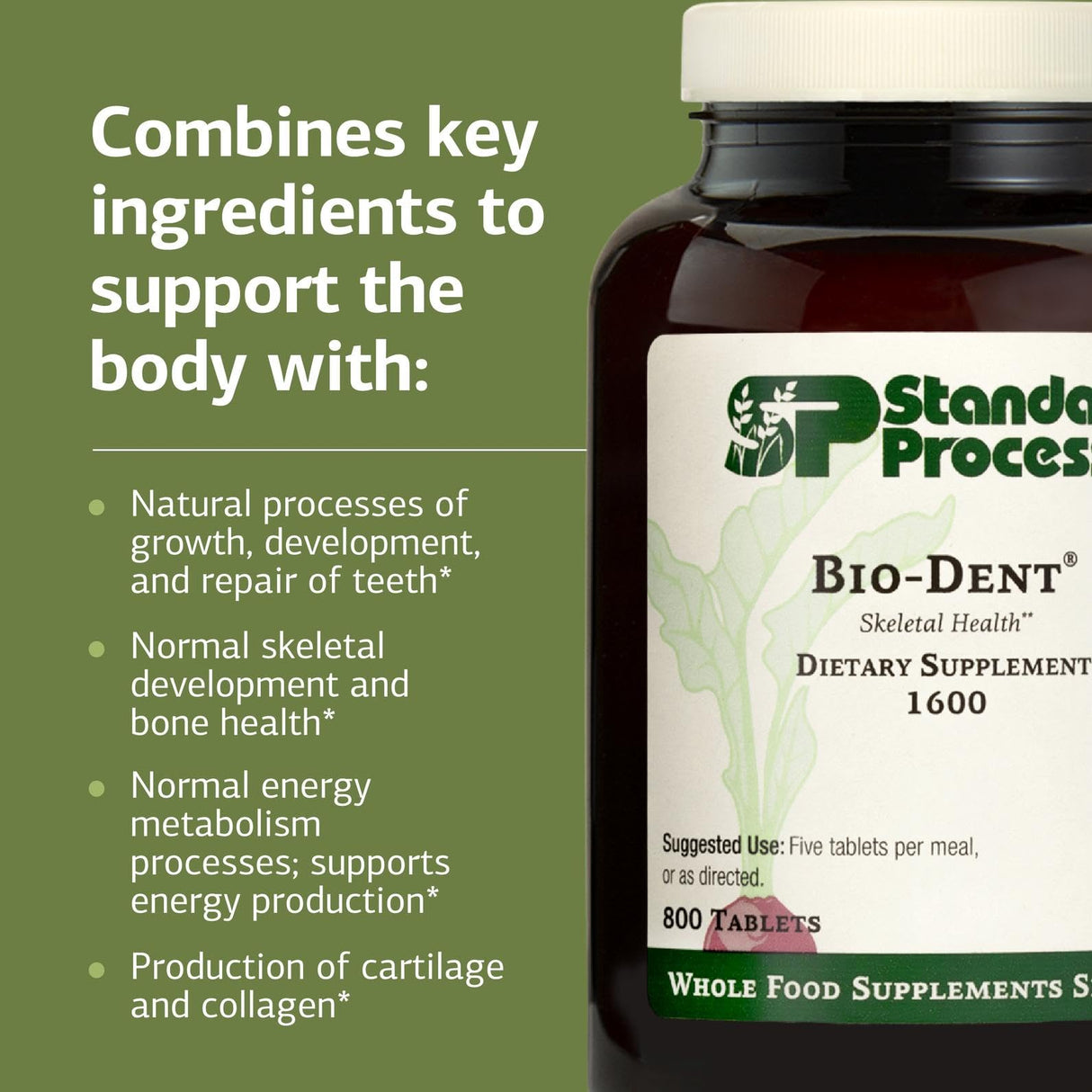 Standard Process Inc. Bio-Dent - Whole Food Supplement for Skin, Muscle, and Bone Health - Calcium, Licorice Root, Manganese, Phosphorus - 800 Tablets