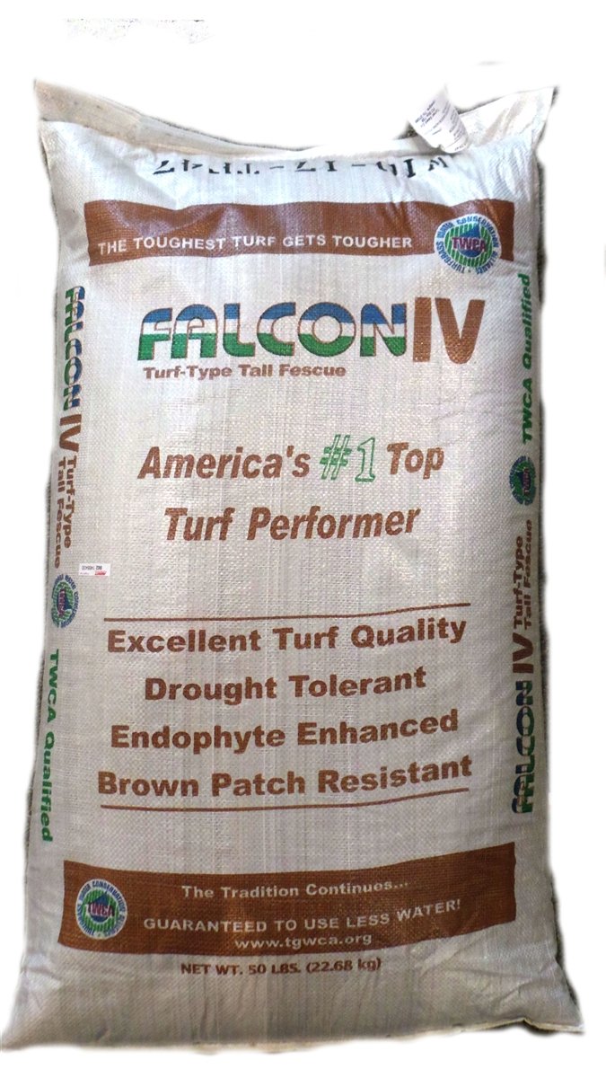 SeedRanch Falcon IV Turf Type Tall Fescue Grass Seeds - 10 lbs.