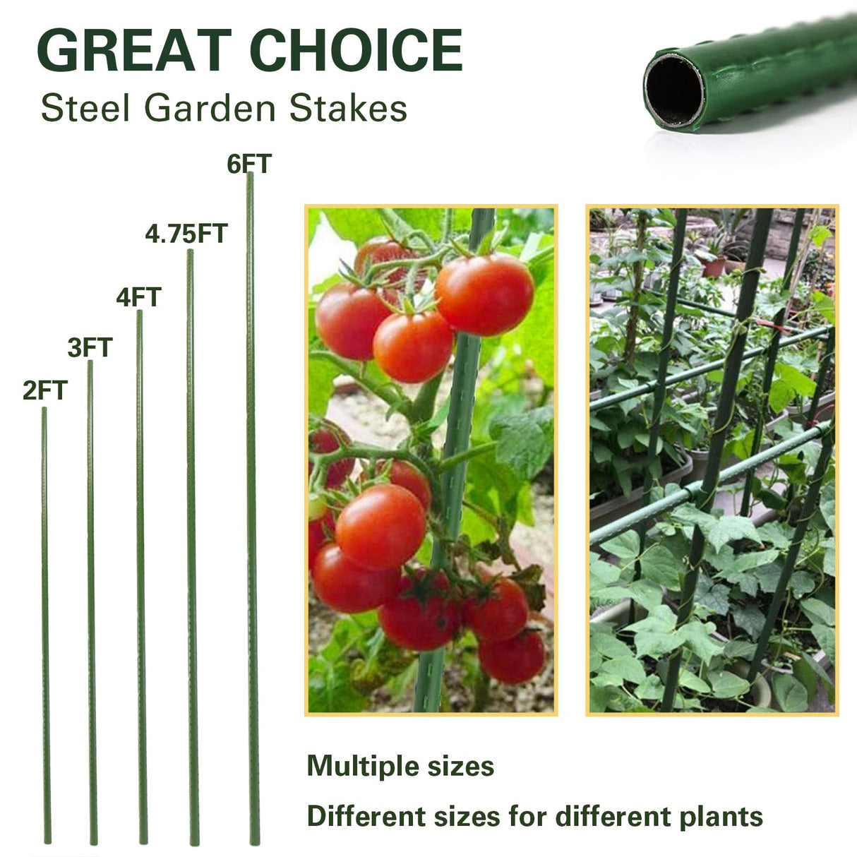 Sprigra Plant Stakes 57 inch, Approx 5ft Steel Garden Stakes 25 Pack, Sturdy Plant Support for Climbing Plants, Tomatoes, Beans, Cucumbers, Peppers, Flowers, Strengthen and Stem Grow Better