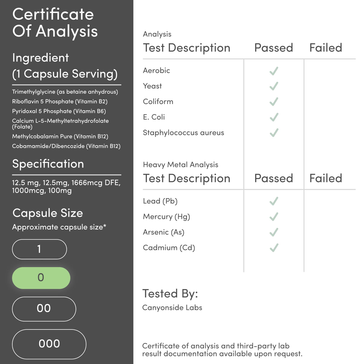 Methylated Multivitamin (Methylated and Activated Vitamins Only - Methylated B Complex with Trimethylglycine (TMG) and Methylfolate)(Non-GMO, Gluten Free MTHFR Supplement) 120 Capsules by Double Wood