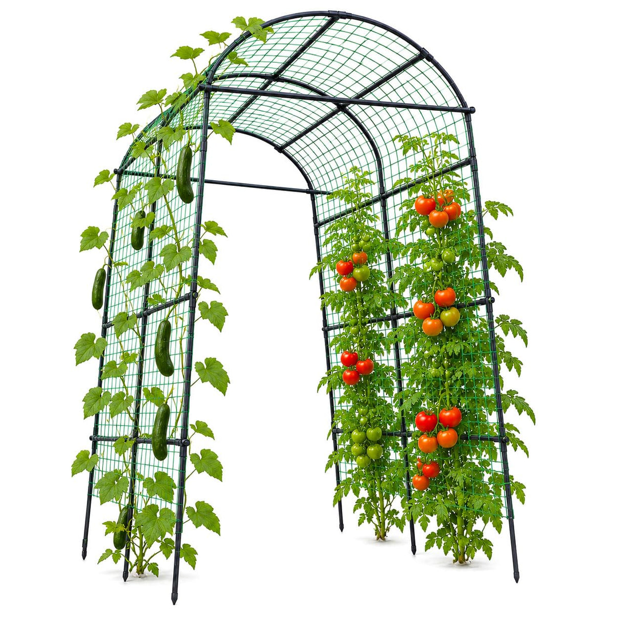FOLLOOK Garden Arch Trellis for Climbing Plants Outdoor, 7.8 ft, Black