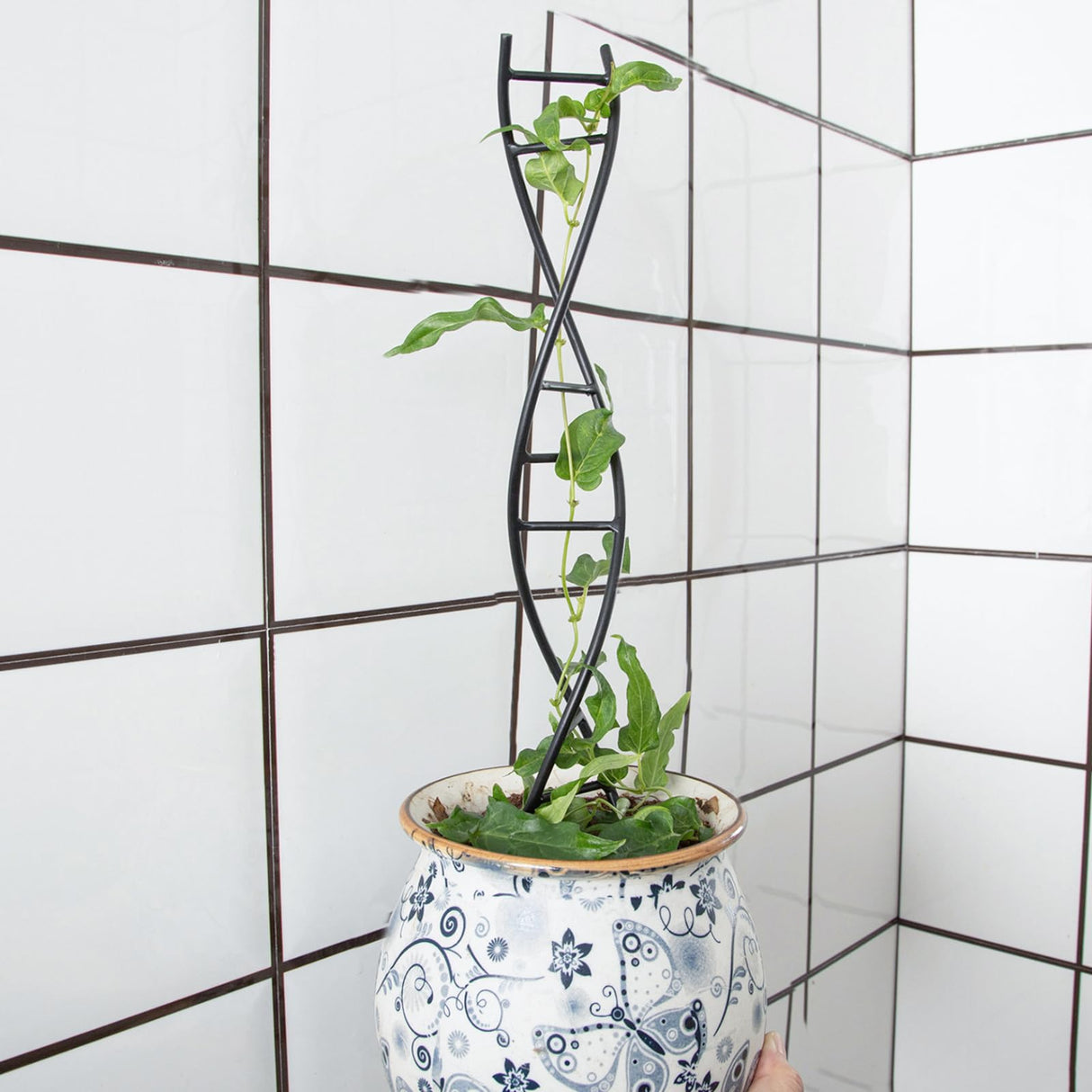 Goooxim DNA Spiral Plant Trellis Indoor - Durable Metal Trellis for Potted