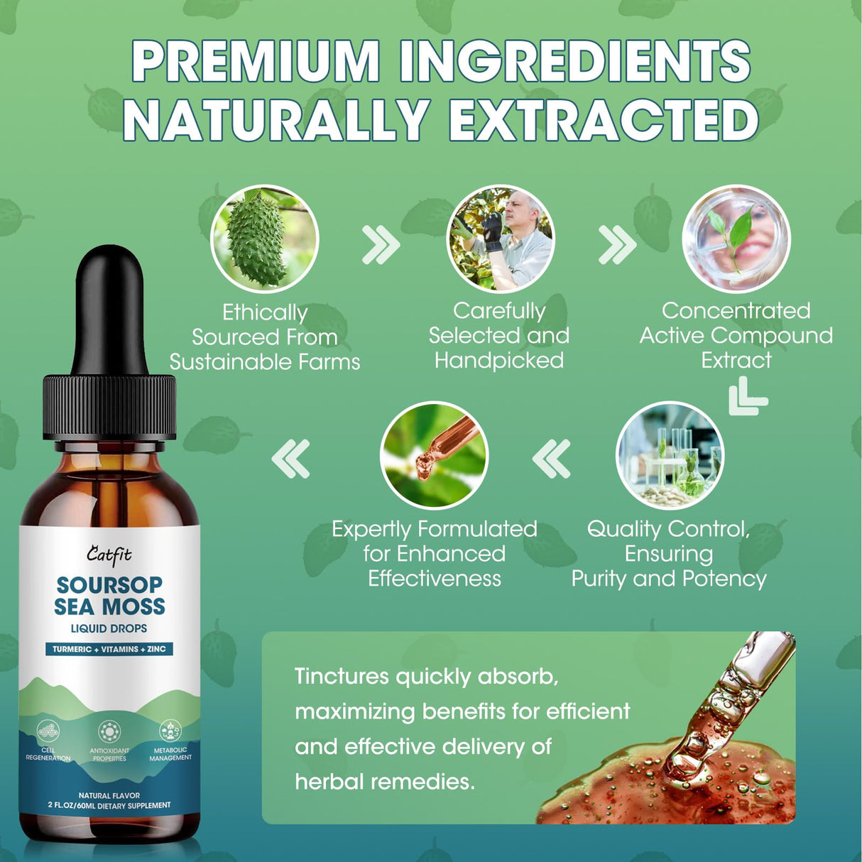 Soursop Graviola Liquid Drop – 2 Pack Soursop Drops with Sea Moss & Turmeric, Cellular Support & Immunity Boost Liquid Supplement, 2 Fl Oz Bottles