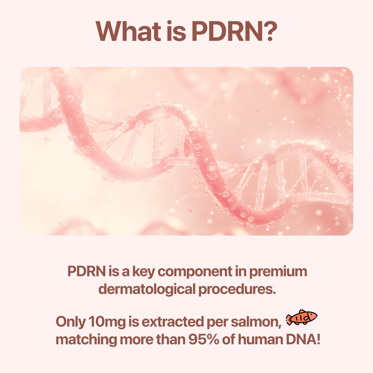 CU DR. SOLUTION PDRN Cream with Salmon DNA, Ceramide NP, Collagen, Plant Based Bakuchiol, Moisturizing Bifida and Hyaluronic, Korean Skin Care PDRN Cream, 50 ml (1.69 fl. oz.)