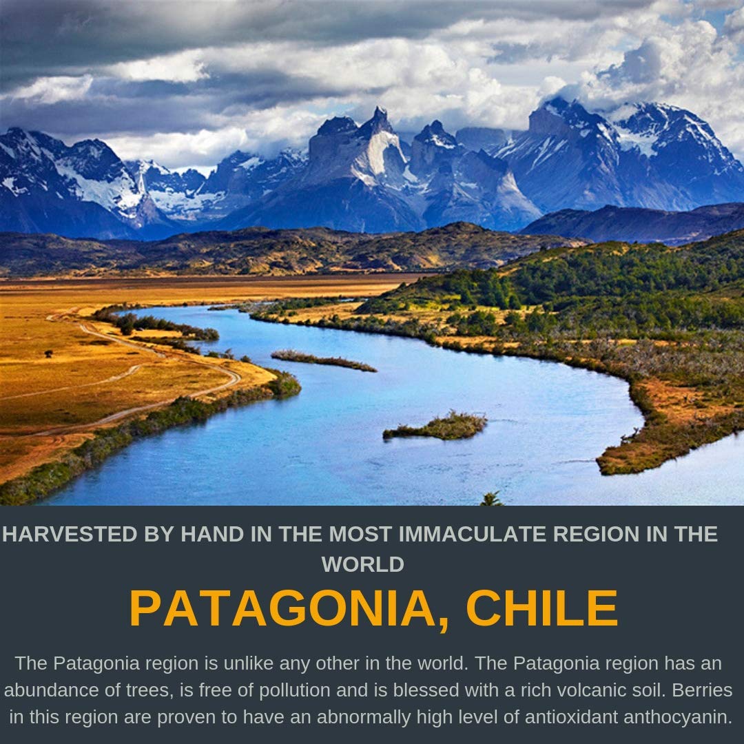 Noomadic Maqui Berry, 60 Capsules | 500mg Each, Antioxidant (High ORAC), Immune System Support, Supports Dry Eyes (Supports Tear Production), Standardized Extract (10% Anthocyanins)