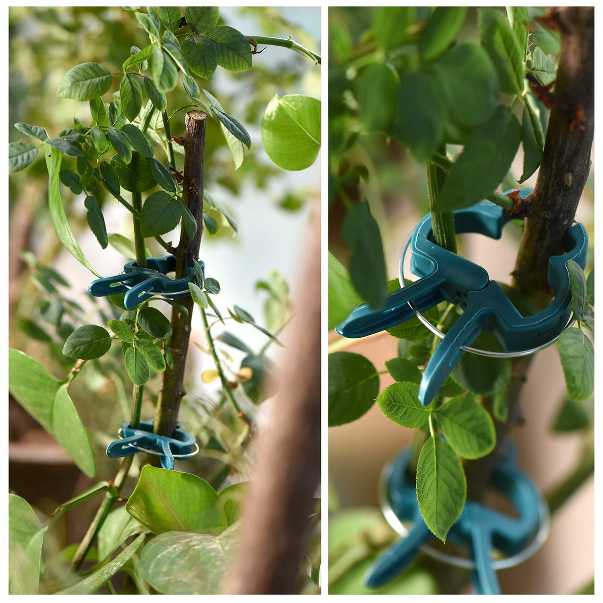 PERSZEN Plant Support Clips, 120 PCS Gentle Flower Plant Clamps for Supporting Vine Climbing Plants, Gardening Lever Loop Gripper Clips Help Stems Vines Grow Straight Upright, 2 Sizes in one Pack