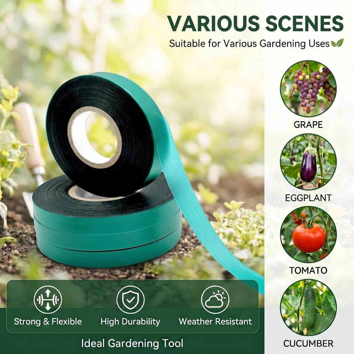 Medoore 12 Rolls 150 Feet Stretch Tie Tape 0.5 Inch Garden Tie Tape Thick Plant Ribbon Garden Green Vinyl Stake for Indoor Outdoor Patio Plant Use