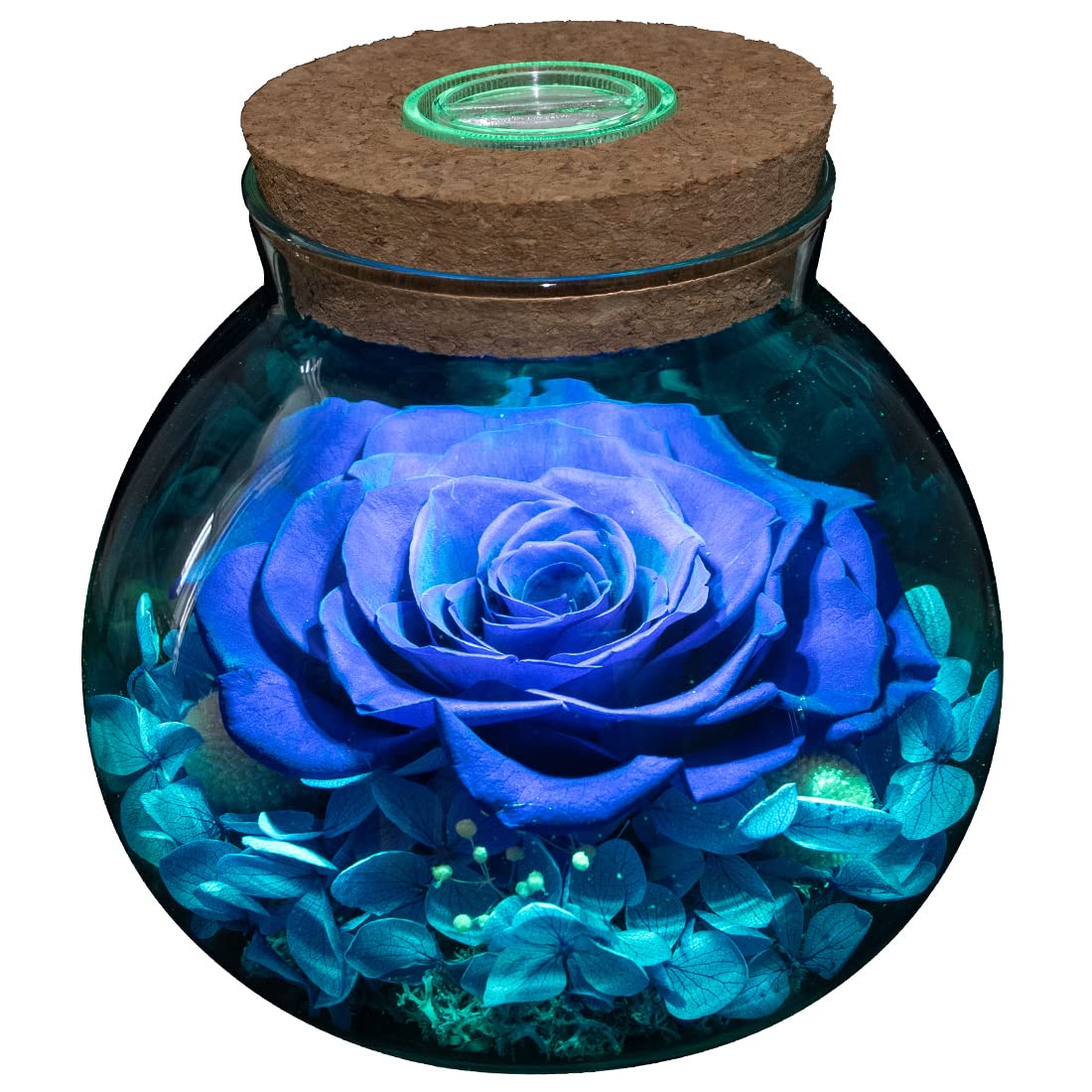 roliys Preserved Real Roses with Colorful Mood Light Wishing Bottle, Eternal Rose,Never Withered Flowers, Table Decor,Christmas Anniversary Valentine's, Blue 4.3inch, 1pcs