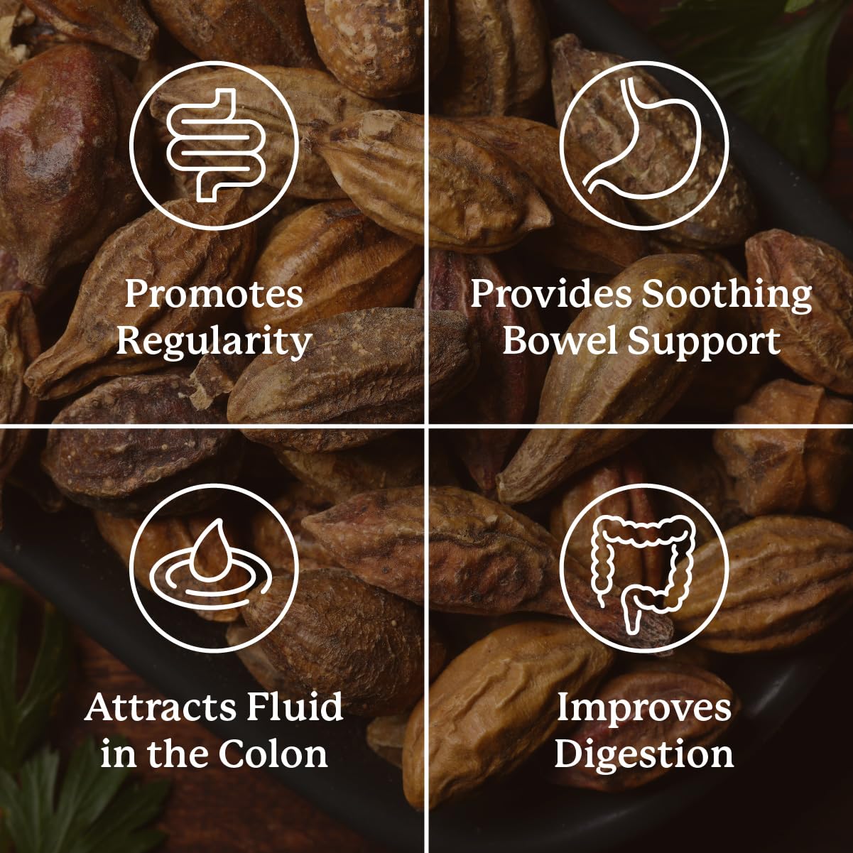 Nature's Sunshine Gentle Move: Experience Daily Digestive Support and Natural Constipation Relief with Natural Fiber for Soft Stools & Regularity, 90 Capsules