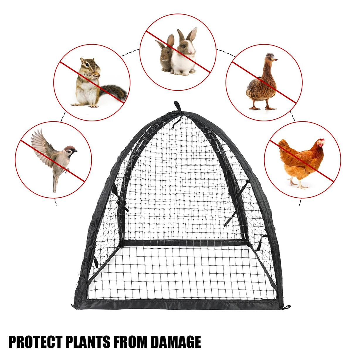 Strawberry Plant Protector,22 x22 x 22 Inch Cloche Dome for Plants