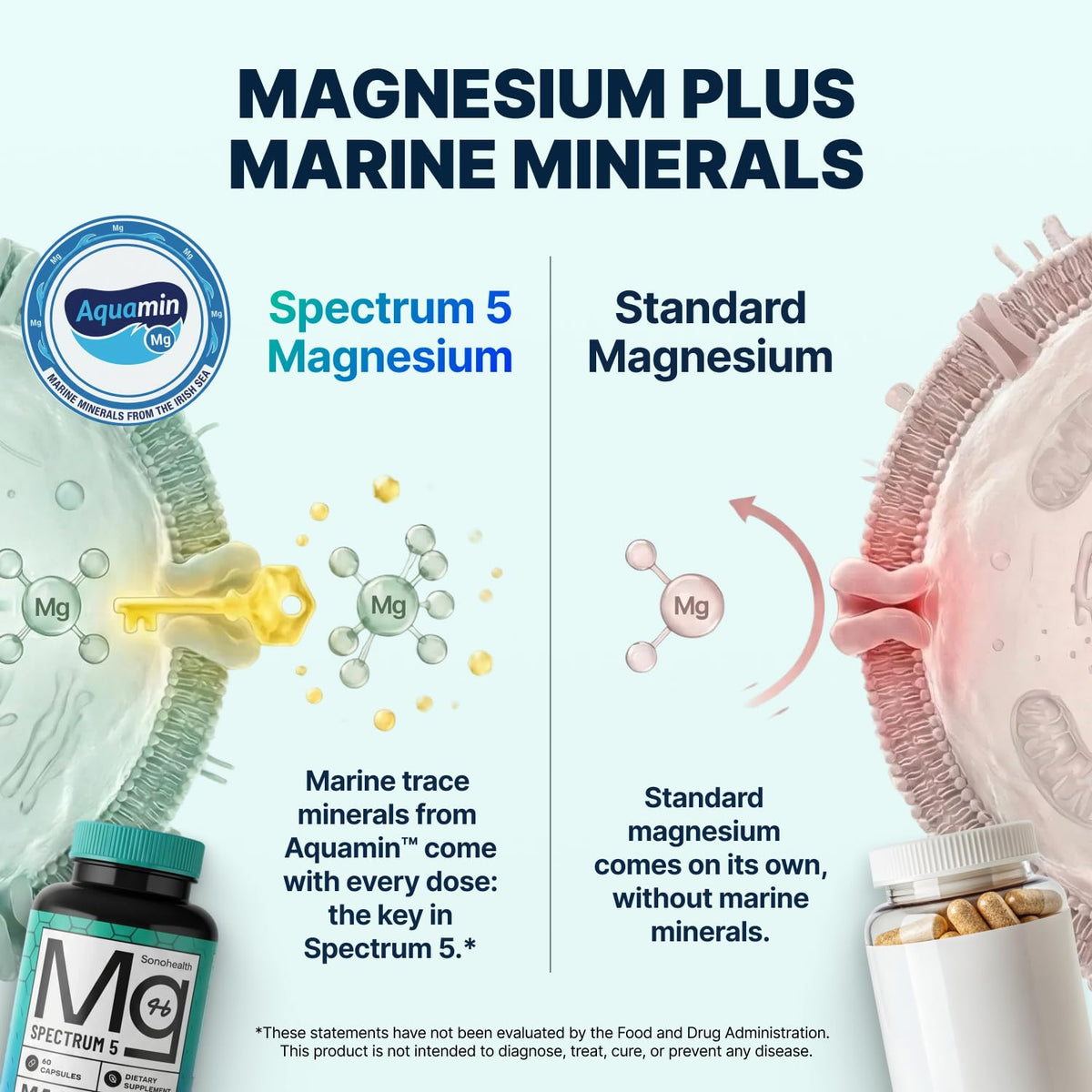 Spectrum 5 Magnesium | 5-in-1 Magnesium Complex
