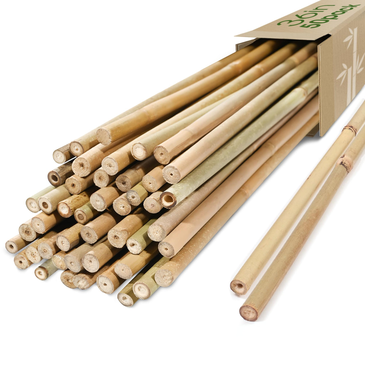Cambaverd Bamboo Stakes 3ft, 50 Pack Bamboo Garden Stakes 3 Feet, Natural Plant Stakes for Tomatoes and Climbing Plant Support, Bamboo Sticks for Plants