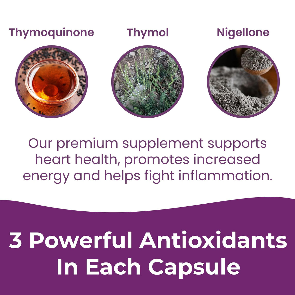 Infinite Age Dry Organic Black Seed Oil Extract Capsules, 60 Count - Nigella Sativa Immune Booster for Optimal Skin, Hair, Memory, Focus, Brain Health and Immunity - Thymoquinone Supplement