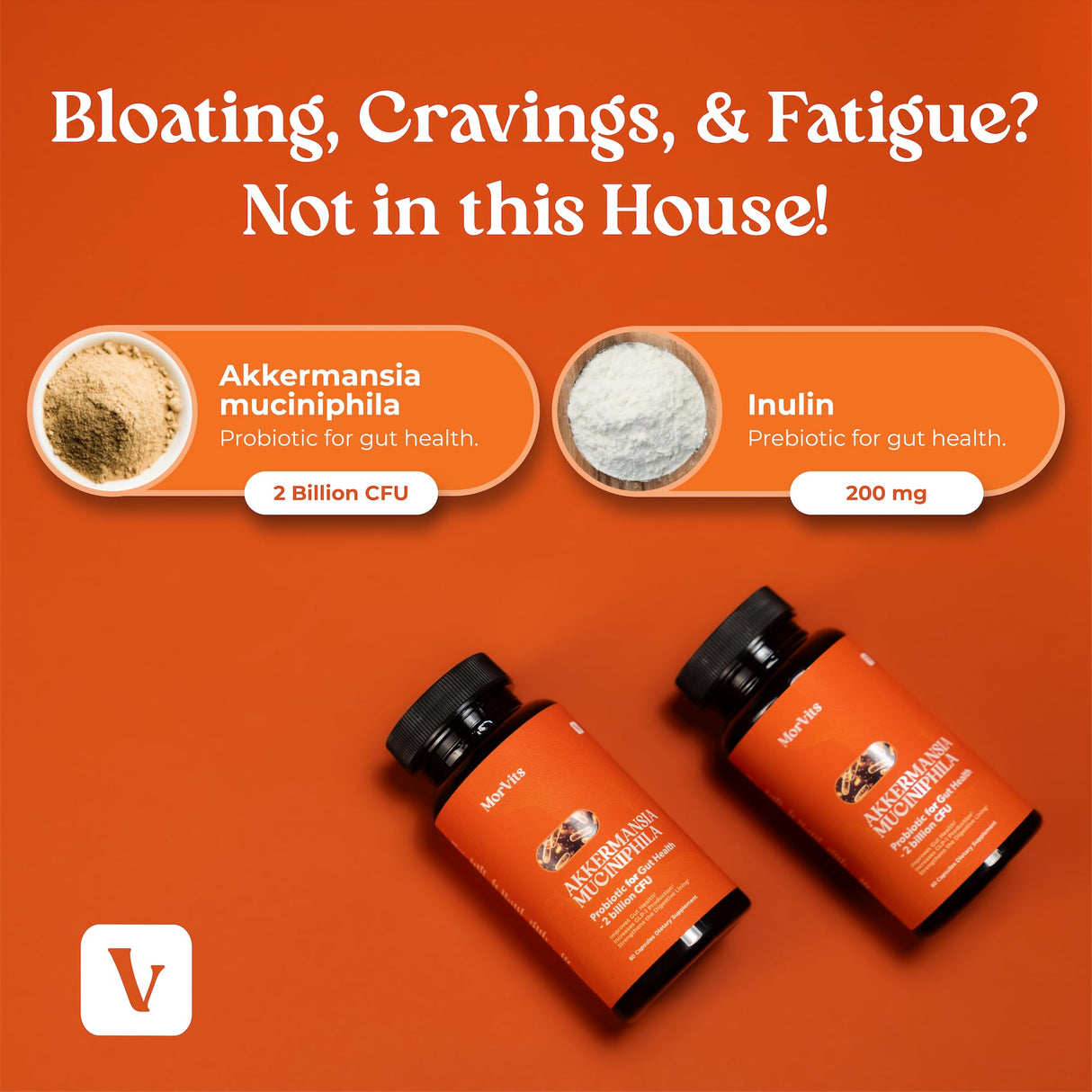 Akkermansia Probiotic | GLP-1 Supplement for Gut Health, Akkermansia Muciniphila, 2 Billion CFU Live Strain for Men & Women (60 Capsules, 1-Pack) - Inulin Prebiotic Fiber, Increases GLP1 Production